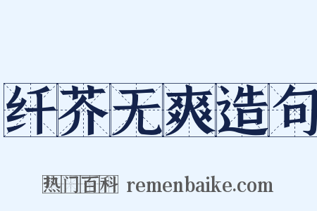 纤芥无爽造句是什么意思的图片